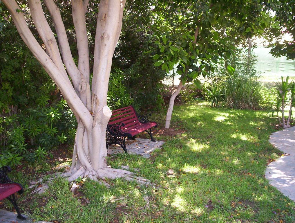 Jasmine Hotel Apartments Limisso Esterno foto